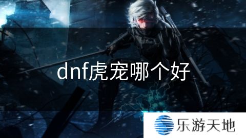 dnf虎宠哪个好